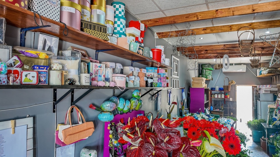 Commercial Property for Sale in Bodorp North West